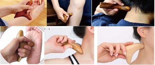Cách sử dụng Chim én gỗ