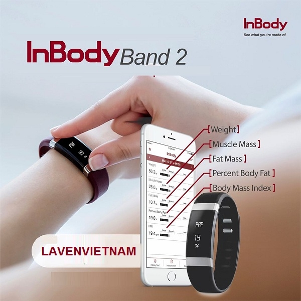 Đồng hồ theo dõi sức khỏe Inbody Band 2