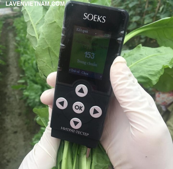 Kiểm tra tồn dư nitrat trong rau cải bằng máy đo an toàn thực phẩm soeks
