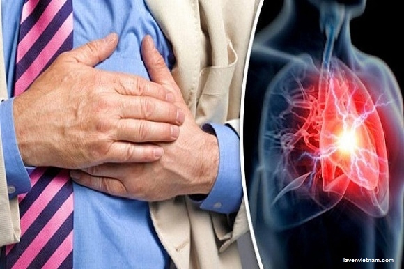 Tim mạch là bệnh mà nhiều người lớn tuổi mắc phải và dẫn đến nguy cơ đột quỵ cao